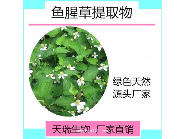 魚腥草提取物