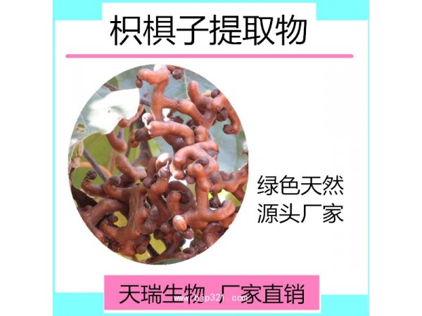 枳椇子提取物 藥食同源粉 天瑞生物生產(chǎn)廠家