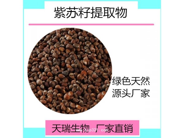 紫蘇籽提取物 天瑞廠家包郵