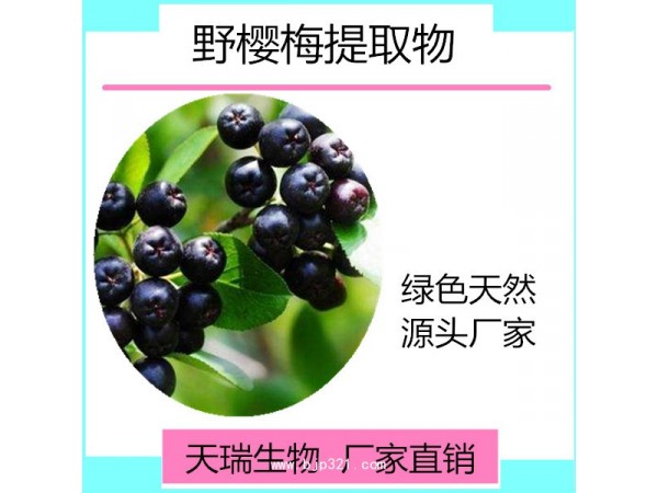 天瑞生物  野櫻莓果粉