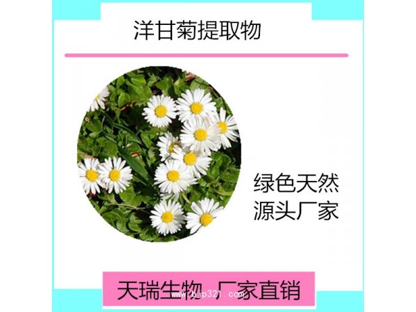 天瑞生物  洋甘菊提取物10:1