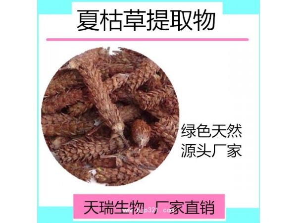天瑞 夏枯草提取物