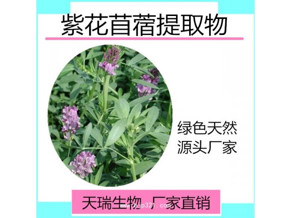 天瑞  苜蓿苗粉