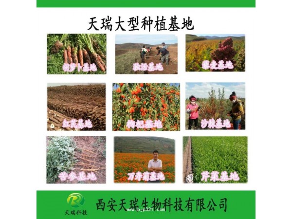 天瑞 豬膽粉 廠家