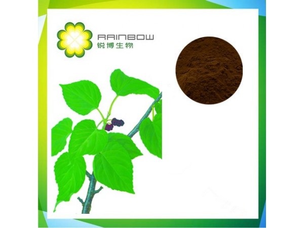 SC廠家現(xiàn)貨資質(zhì)齊全桑葉粉桑葉提取物