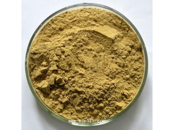 SC廠家現(xiàn)貨資質(zhì)齊全桑葉粉桑葉提取物