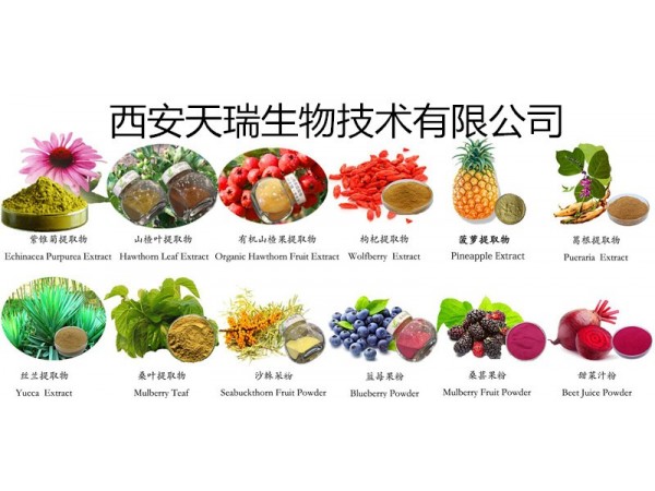 天瑞 黑木耳粉廠家