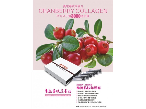 康琪壹佰膠原蛋白粉代加工,固體飲料代加工