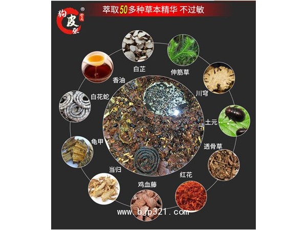 狗皮張火爆加盟