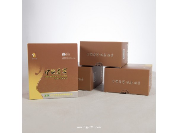 中興菊寧
