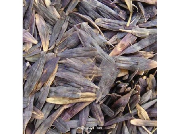 迷迭香洗發(fā)水修護干枯，增加頭發(fā)光澤
