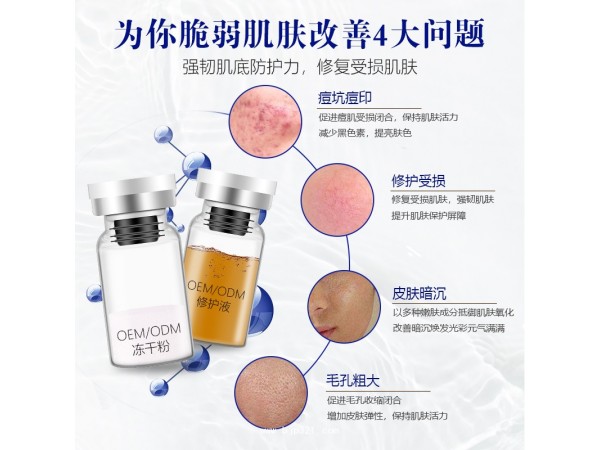 純植物凍干粉美白亮膚凍干粉加工oem廠家貼牌