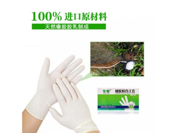 華欣橡膠檢查手套
