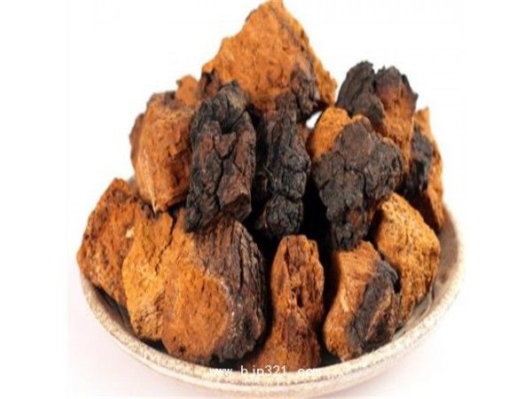 樺樹茸提取物生產(chǎn)企業(yè)白樺茸多糖提取物生產(chǎn)廠