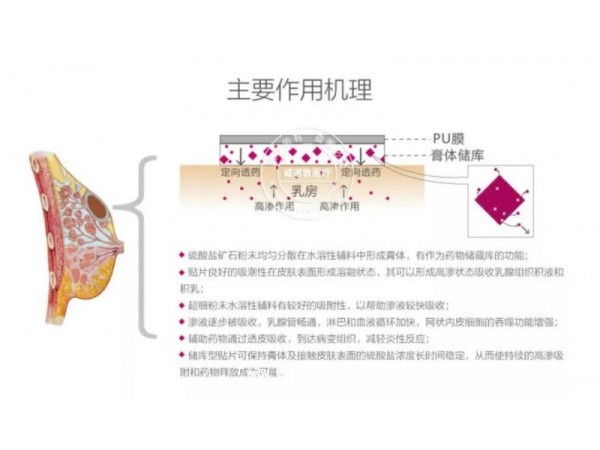 乳腺寧貼片