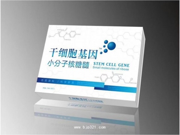 干細胞基因-小分子核糖髓