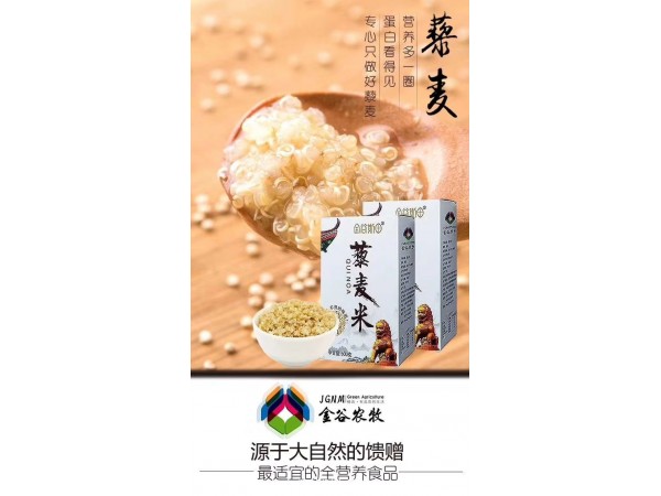 藜麥米生產(chǎn)廠家OEM代加工內(nèi)蒙古高原藜麥米