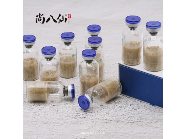 牡蠣肽酶解凍干粉