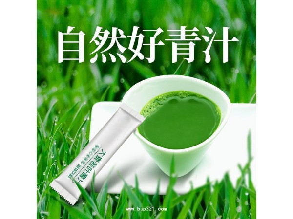 大麥若葉青汁