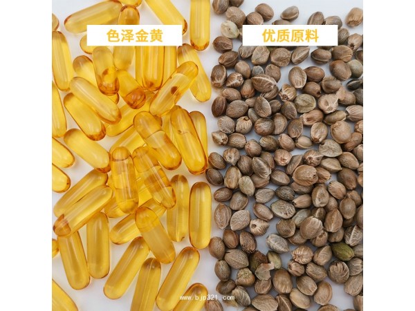 麻王火麻仁油男性膠囊