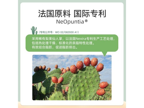 BS美安圣排油吸油丸