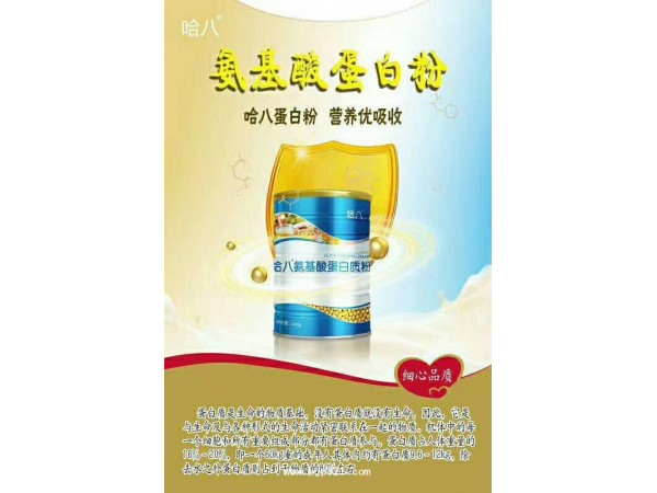 哈八  氨基酸蛋白質(zhì)粉
