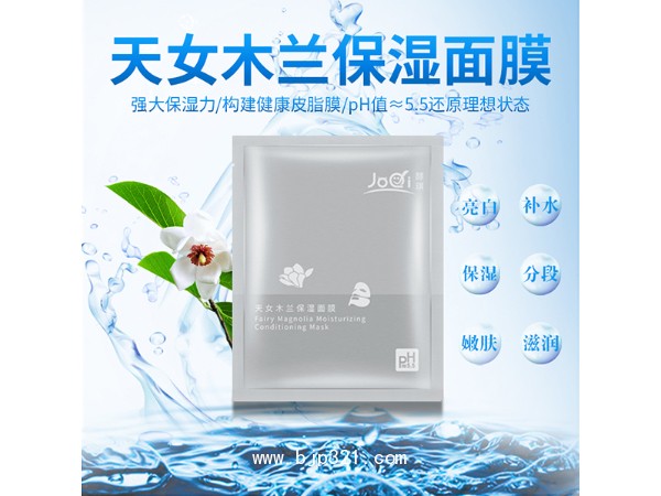 天女木蘭補(bǔ)水保濕酵琪(JoQi)精品面膜