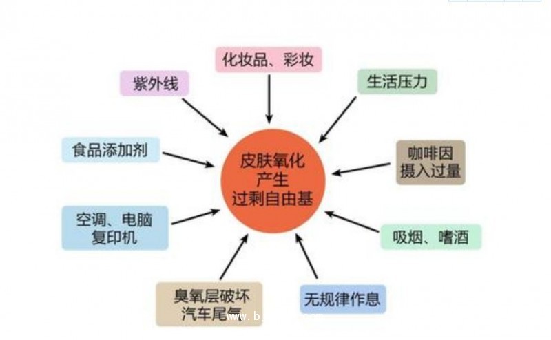 圖片3
