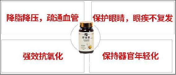 圖片6