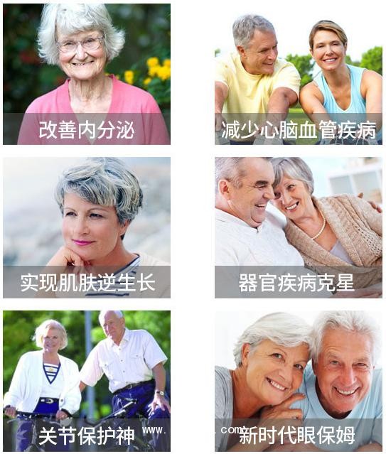 圖片7