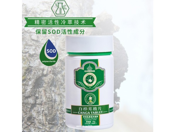 白樺茸精片 樺樹茸精片 樺褐孔菌 代理批發(fā) 貼牌定制