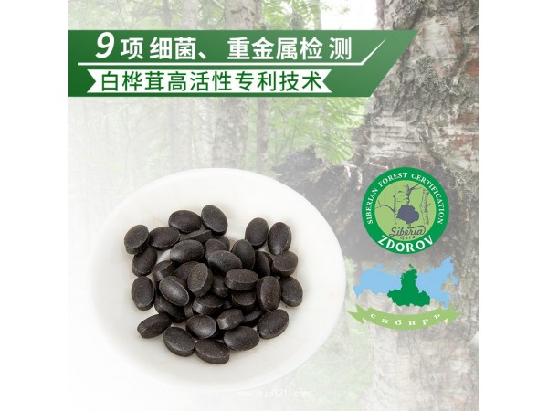 白樺茸精片 樺樹茸精片 樺褐孔菌 代理批發(fā) 貼牌定制