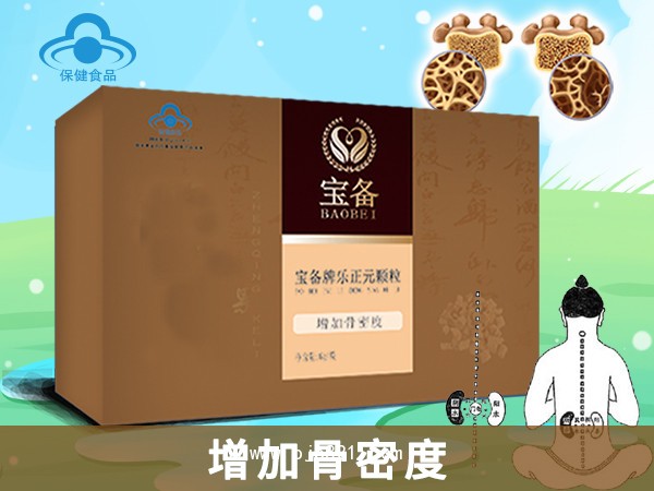 樂正元顆粒
