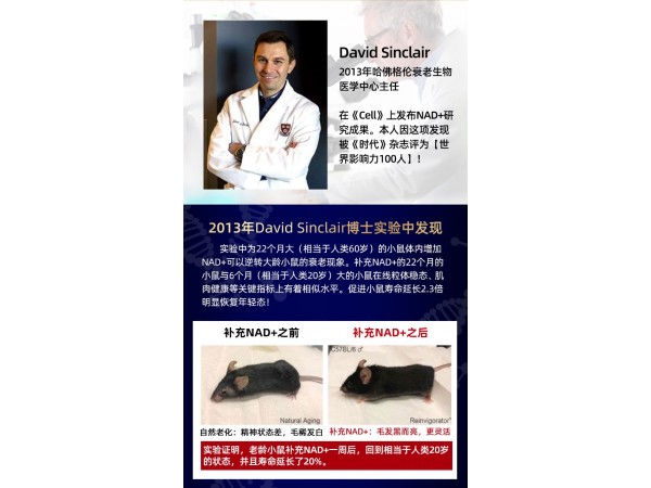 日本NMNβ-煙酰胺單核苷酸抗衰防老化美容