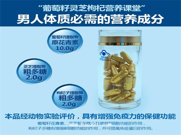 廠家現(xiàn)貨葡萄籽靈芝枸杞膠囊OEM貼牌代工