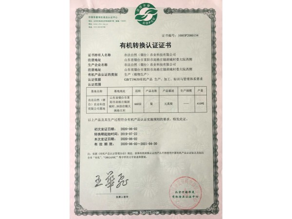 農(nóng)法自然梨悅堂功效型止咳梨膏