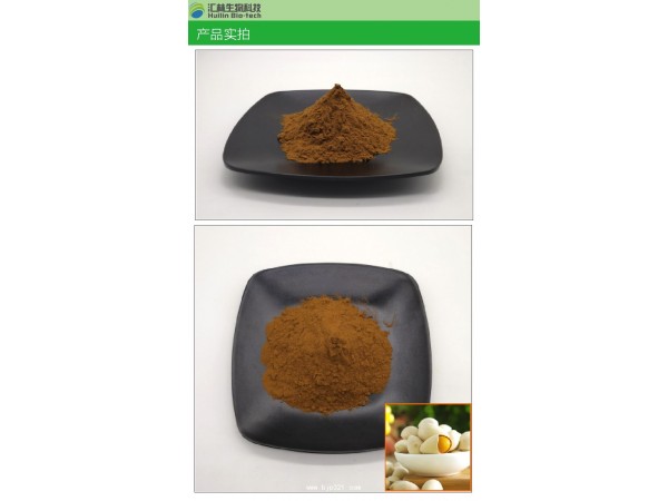 白果提取物10:1 白果濃縮粉