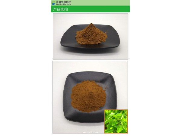 桑葉提取物