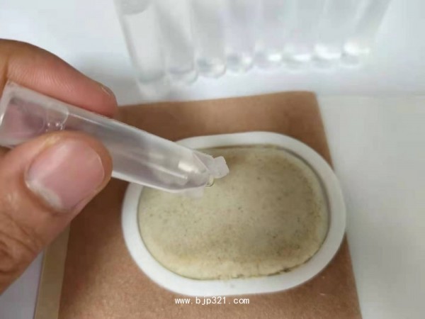 沙蒿子透皮貼