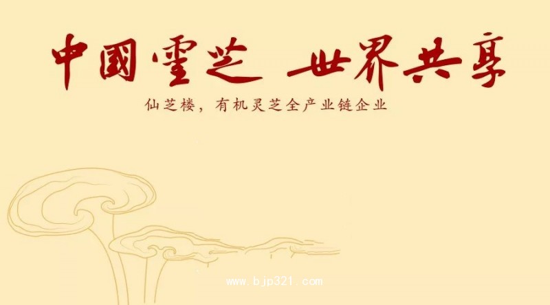 16.webp