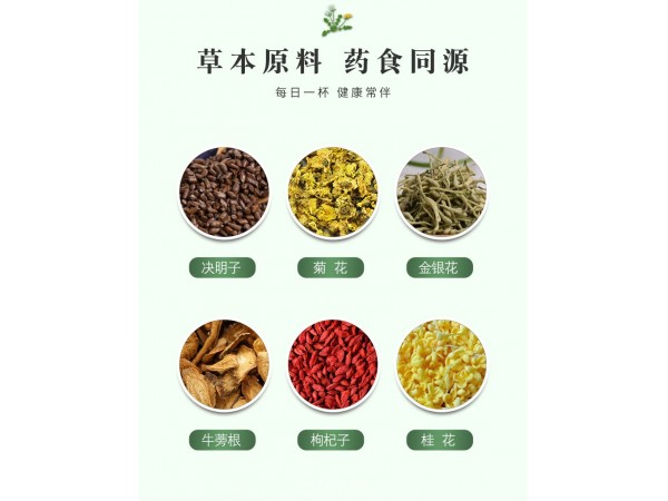 飲典菊花決明子茶批發(fā)零售代加工
