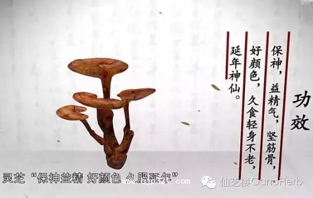 微信圖片_20211105153830