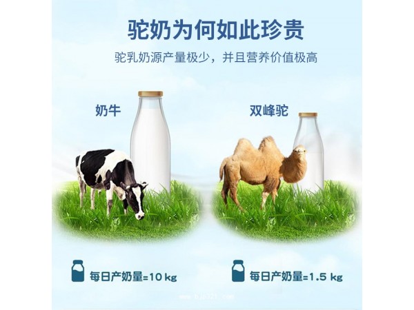 【百消丹】駝奶鈣片壓片糖果