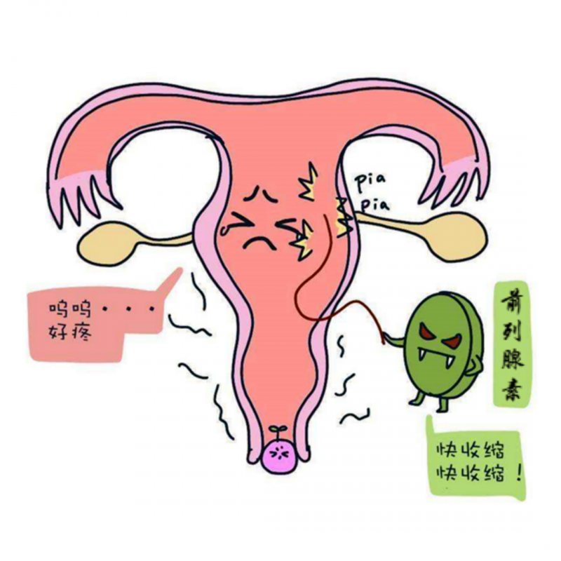 前列腺素3