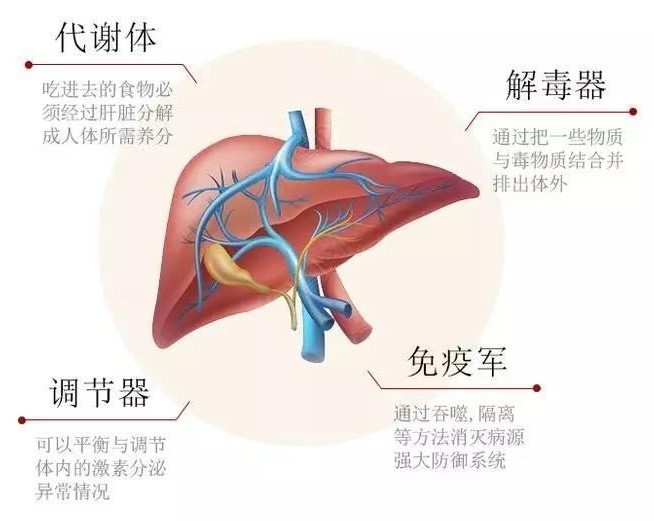 娞憻婡擻