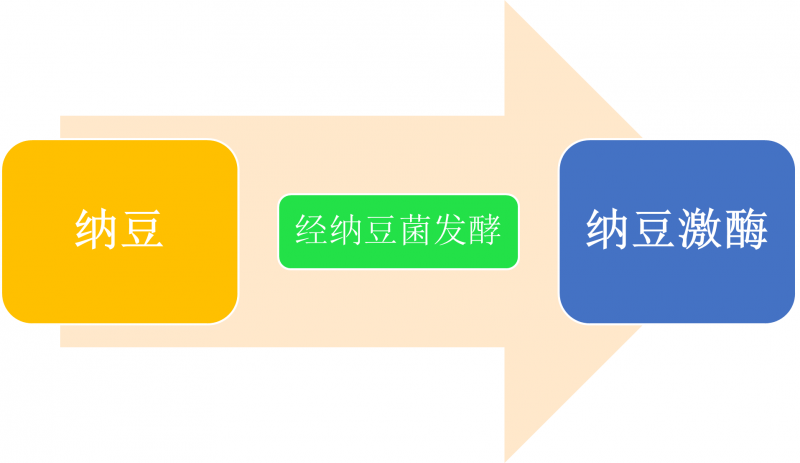 納豆和納豆激酶