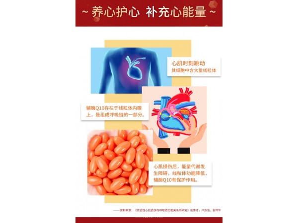 桂仁輔酶Q10軟膠囊