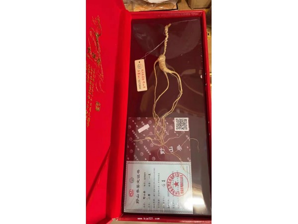 人參鹿茸東北特產(chǎn)產(chǎn)地直銷一件代發(fā)招代理