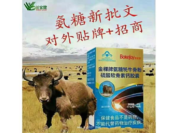 金稞牌氨糖硫酸軟骨素鈣膠囊