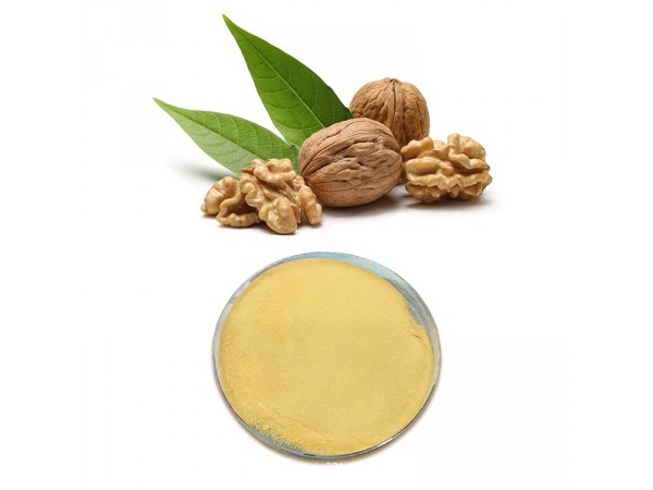 小分子活性低聚肽膠原蛋白核桃肽